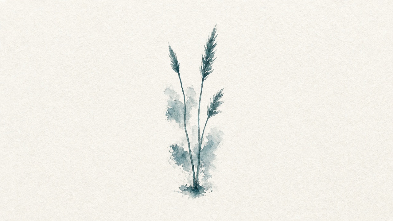 Three reed stalks on cream paper — Roseau Insights essay cover.